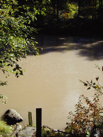 In this photograph, the North Santiam River near Detroit has a turbidity of approximately 700 NTU.