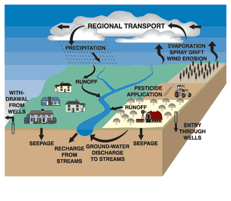 Pathways of pesticide movement in the hydrologic cycle