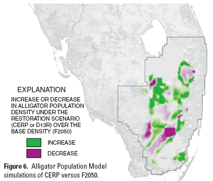 fig6.   Alligator Population Model simulations of CERP versus F2050