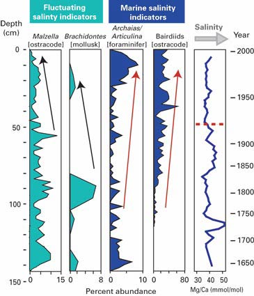 Key salinity indicators in No Name Bank core from central Biscayne Bay
