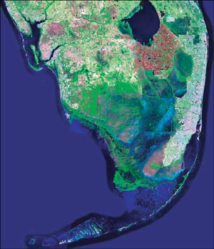 Satellite image map of South Florida