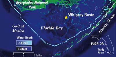 Satellite image of southernmost Florida showing Whipray Bay