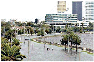 FIGURE 5.  View of Flooding in downtown Tampa.