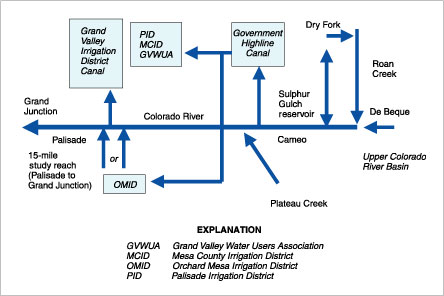 Figure 2. Schematic of the primary study reach hydrologic components.