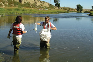 Photo 1. Water-quality sampling in the Powder River basin watersheds.