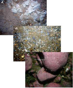 Three color photographs of the seafloor showing sand and clay; sand, gravel, and shell fragments; and cobbles and boulders.