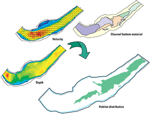 Figure 2. Velocity, depth, and substrate layers are combined using Geographic Information System software to produce a habitat distribution map for paddlefish based on known habitat requirements.