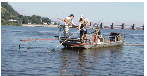 RESEARCHERS ANNUALLY SAMPLE FISH