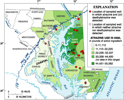 Figure 3. Atrazine usage in the Maryland Coastal Plain and detection of atrazine and (or) deethylatrazine in ground water (2001-04). (Click to view larger image)