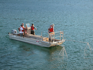 USGS employees electrofishing.