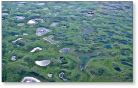 Aerial view of Prairie Potholes