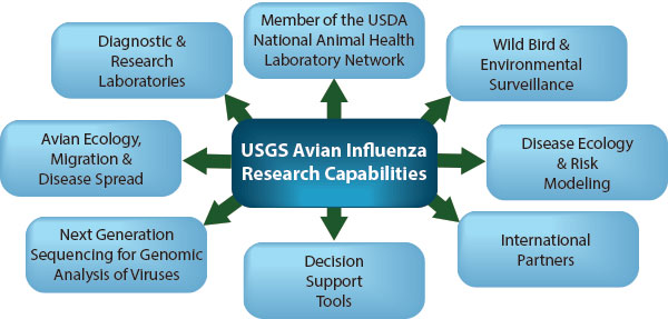 Diagram showing USGS Avian Influenzereaserch capabilities