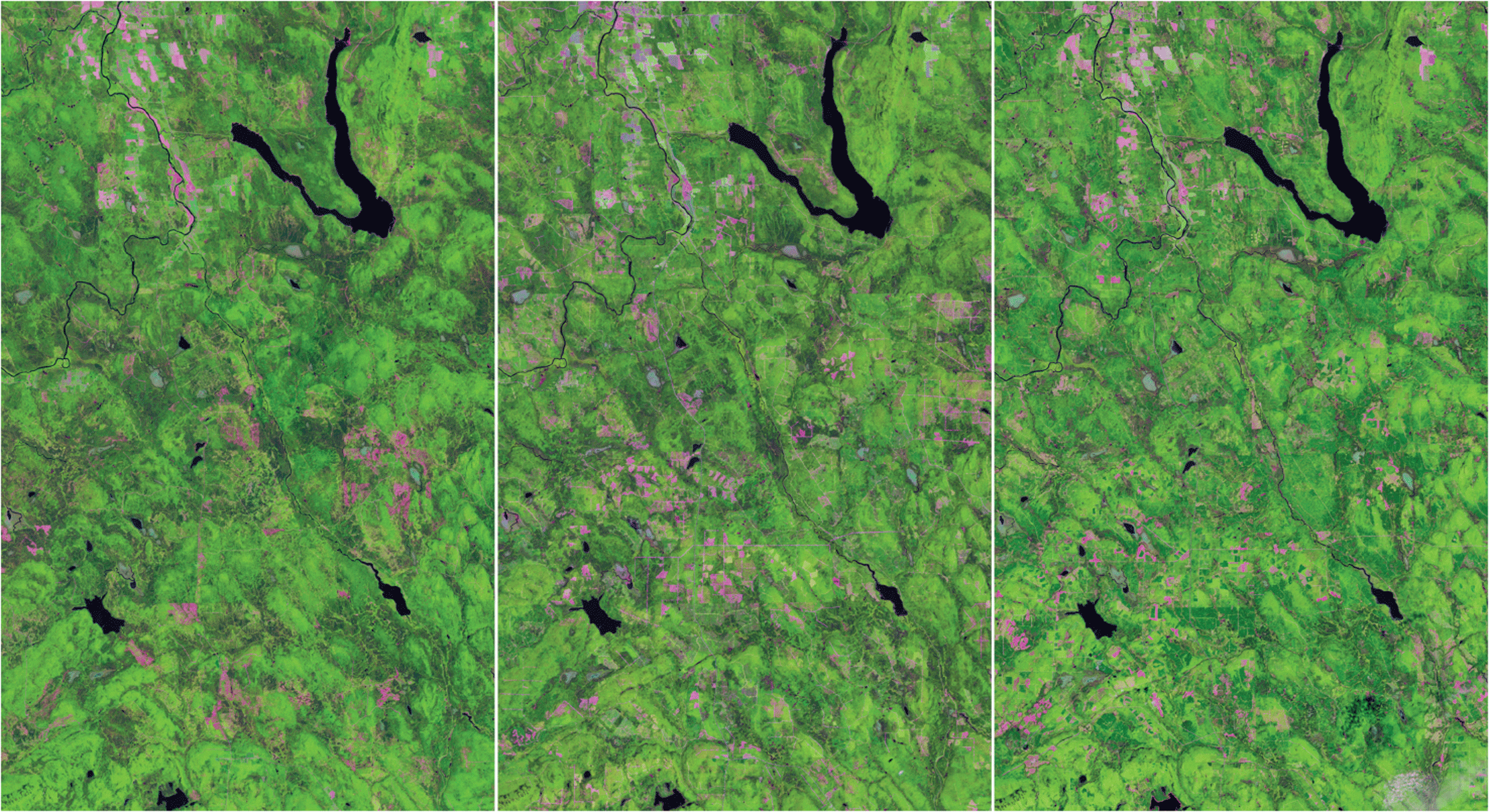 Landsat images from 1985, 2002, and 2019 show forest clearcuts from agriculture and
                     forest clearing.