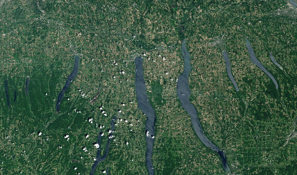 This June 2018 Landsat scene shows the Finger Lakes region in New York below Lake
                        Ontario. Action plans to address harmful algal blooms on 12 priority lakes in New
                        York include five of the Finger Lakes.