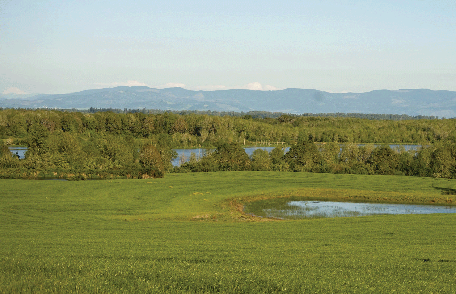 Oregon’s Willamette Valley is home to agricultural land, grassland, forests, waterways,
                        and wetlands, along with diverse wildlife and plant species. Image credit: George
                        Gentry, U.S. Fish and Wildlife Service.