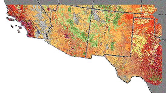 Image showing in-season condition of annual grasses in the U.S. Southwest for fall
                     2020, including Arizona, was created by using Landsat data as part of LANDFIRE’s Modeling
                     Dynamic Fuels with an Index System (MoD-FIS). 