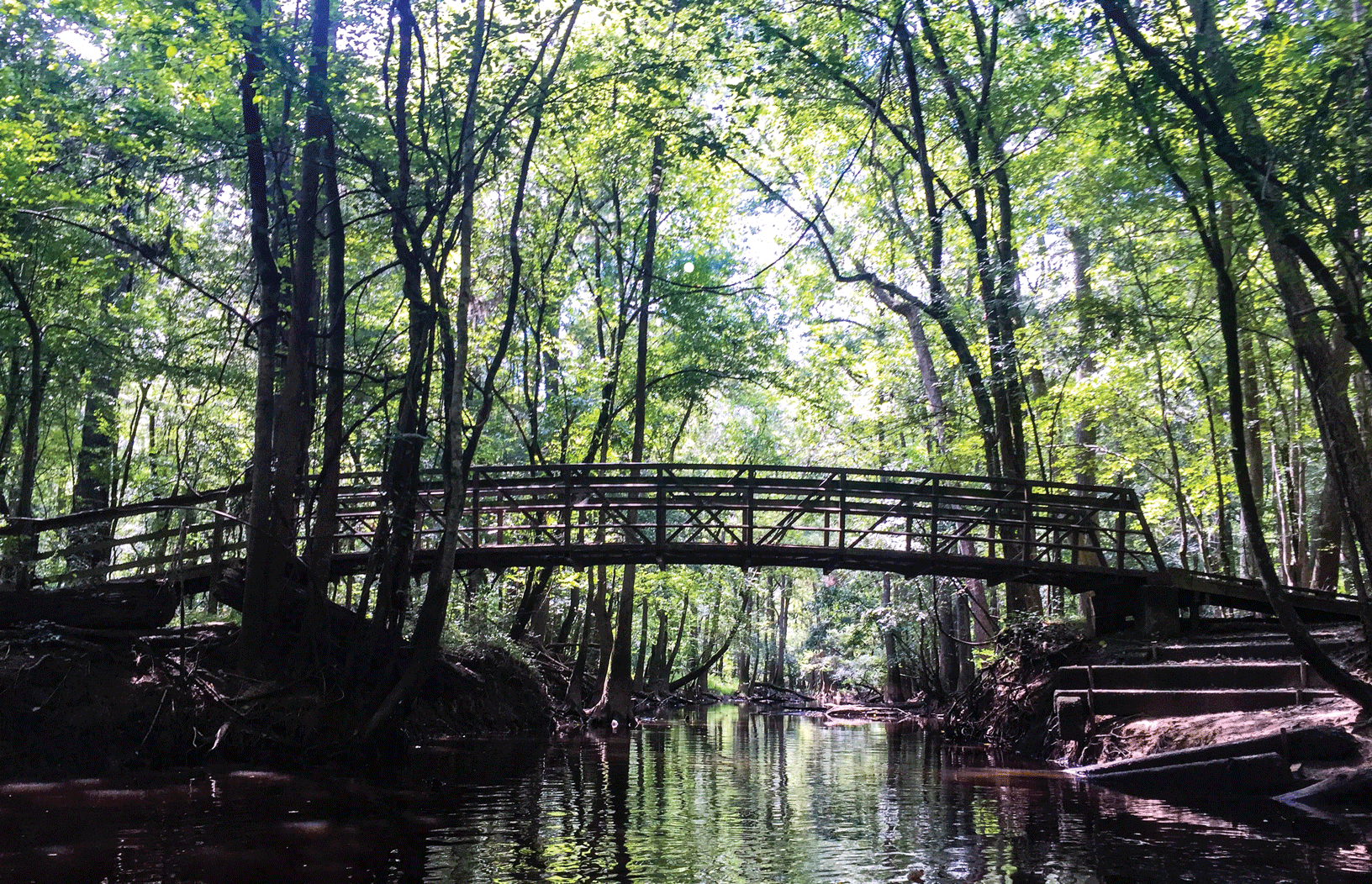 Congaree National Park contains some of South Carolina’s forested land, with an old
                        growth bottomland hardwood forest and an upland pine forest. Photograph credit: Victoria
                        Stauffenberg, National Park Service.