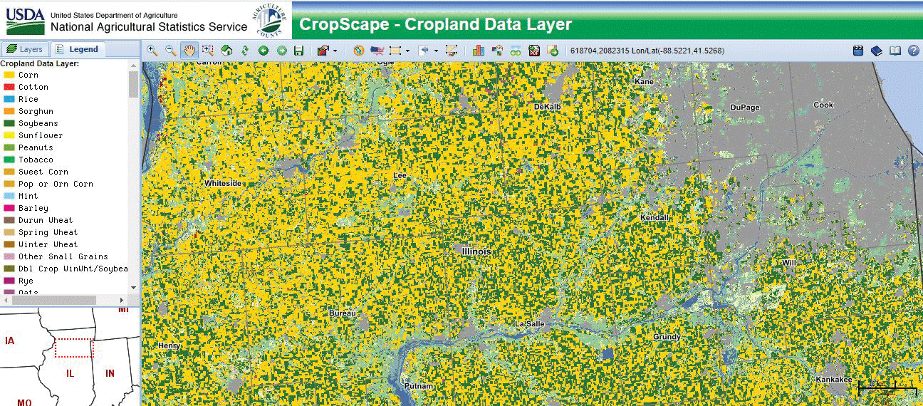 This map shows the 2020 Cropland Data Layer for part of northern Illinois. The gold
                        color indicates cornfields, dark green indicates soybeans, and dark gray represents
                        developed areas. Cook, DuPage, and Will Counties are included in the Chicago metropolitan
                        area. Areas of medium green depict forests; light green is grassland. Image credit:
                        U.S. Department of Agriculture.