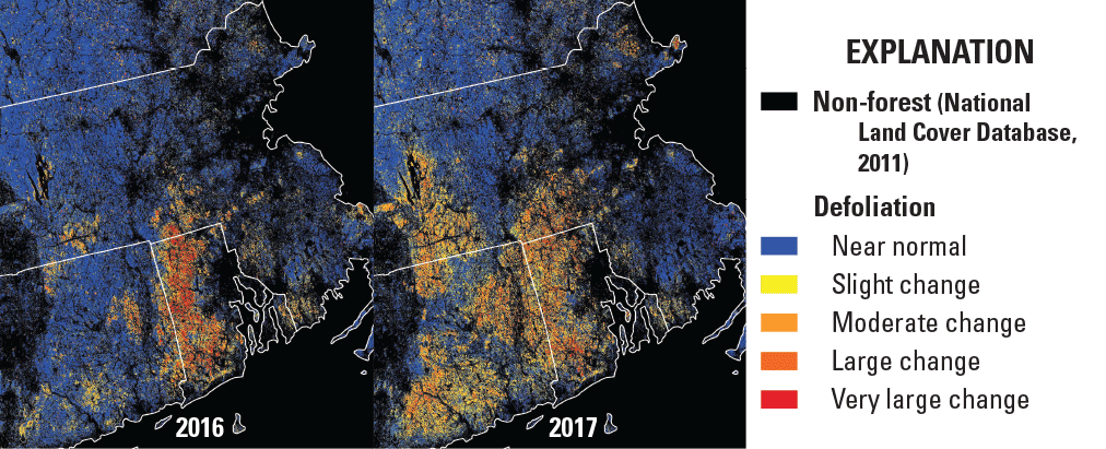 Areas of defoliation during an outbreak of Lymantria dispar in southern New England, including central Massachusetts. Image credit: Pasquarella and others, 2018; used with permission.