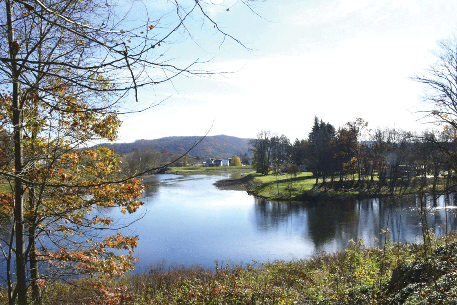 Landscape of the rivers surrounded by vegetation, including trees.