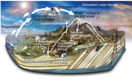 Diagram showing the elements of the water cycle, including discharge, evapotranspiration,
                     and precipitation.