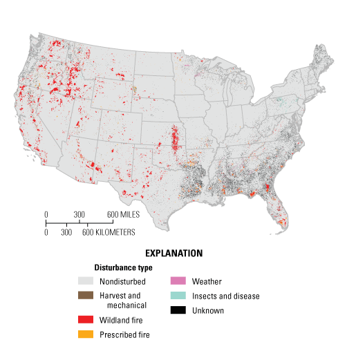 Map of the United States showing disturbance types, mostly nondisturbed and wildfire.
