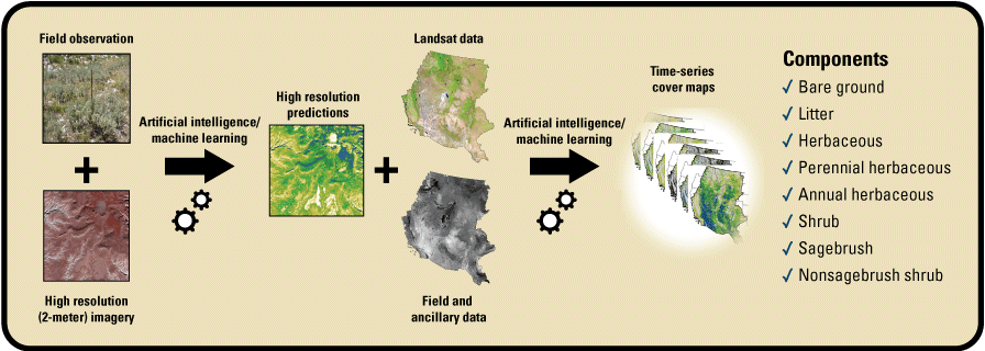 Field data and imagery are integrated using artificial intelligence to map fractional
                     rangeland components for 1985 to present.