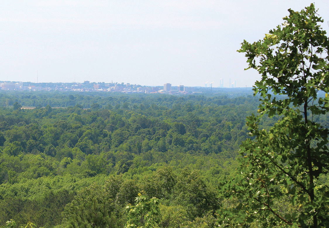 Photograph showing wooded forest. In the distance, Macon, Georgia, can be seen.