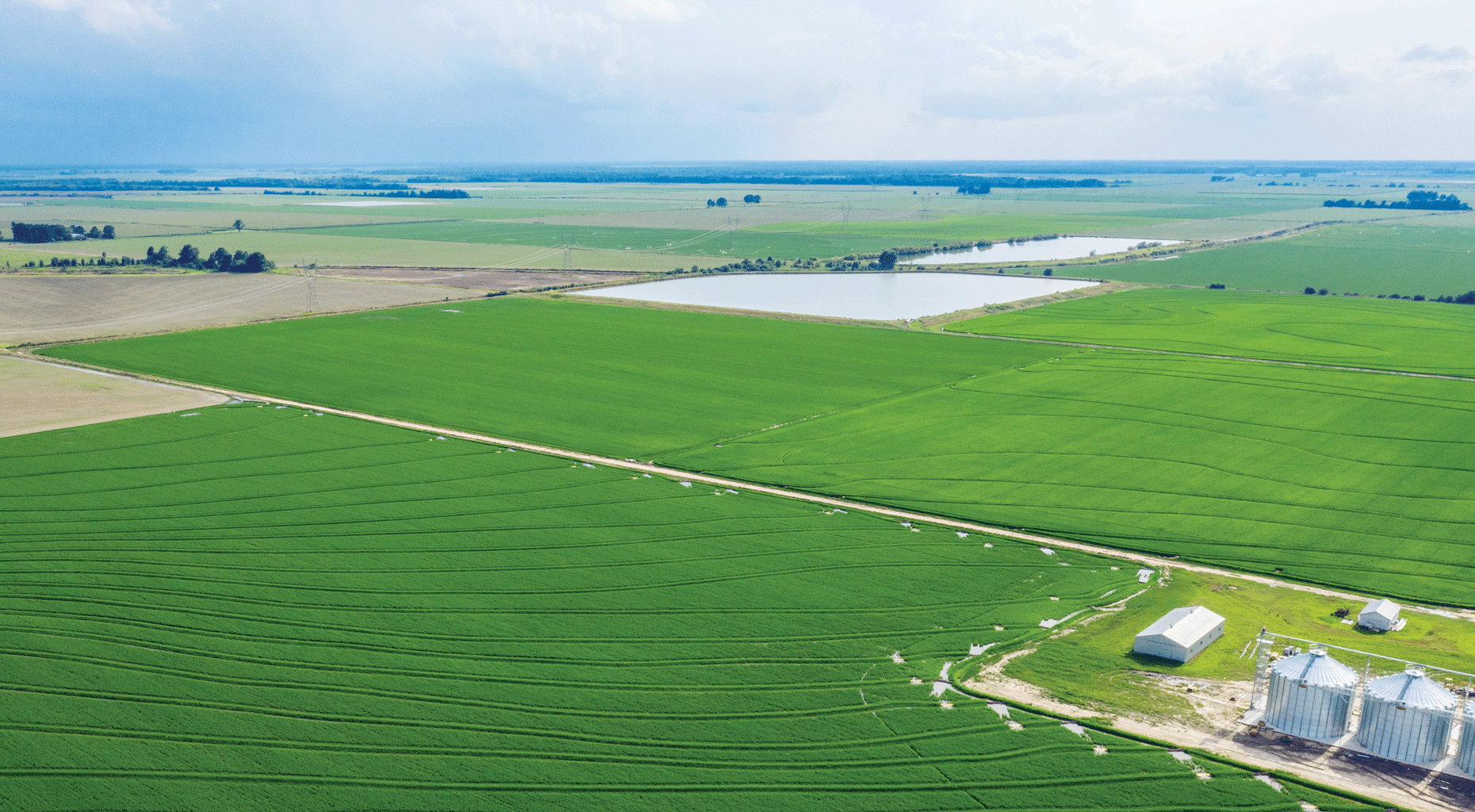 Photograph showing rice fields in eastern Arkansas. Onfarm reservoirs can be seen
                     in the background.