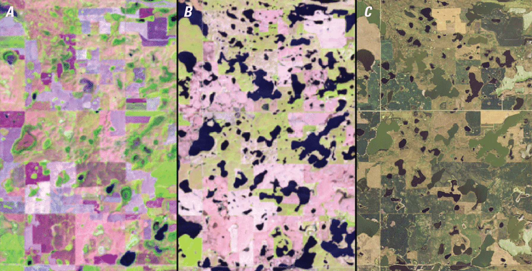 Landsat images of (A) dry conditions, (B) wet conditions, and (C) wet conditions using
                     NAIP data in Stutsman County.