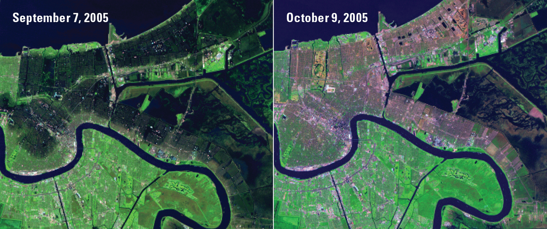 Images showing vast flooding and destroyed vegetation in Louisiana after Hurricane
                     Katrina.