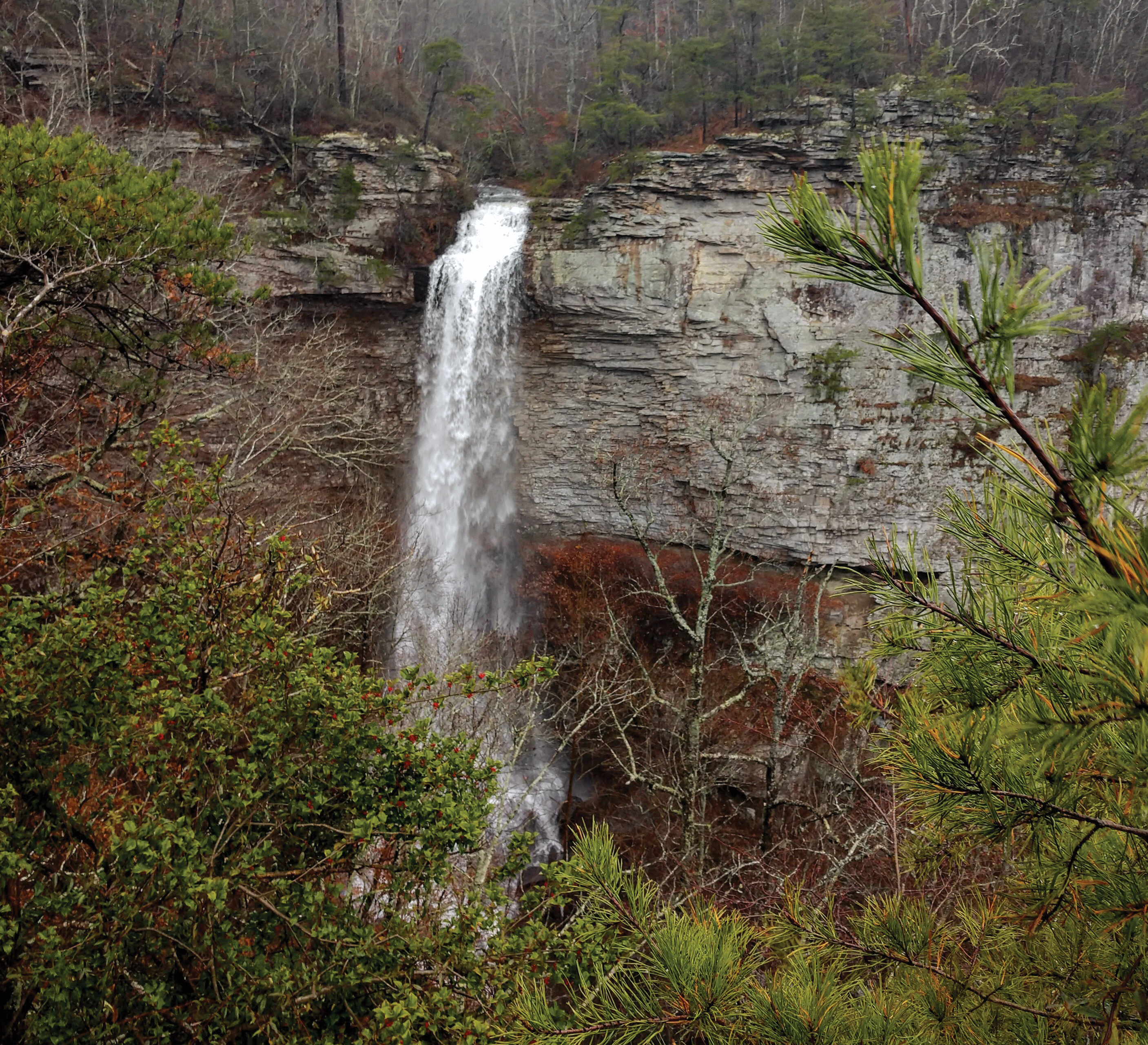 Photograph of a waterfall in a wooded area.