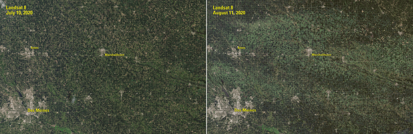 Images showing extensive crop damage from an August 2020 derecho.