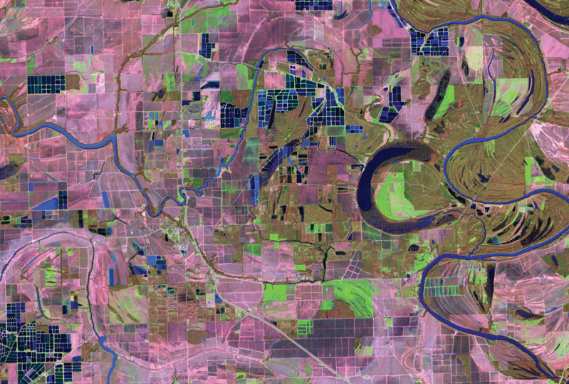 Landsat image showing catfish aquaculture ponds in Mississippi.