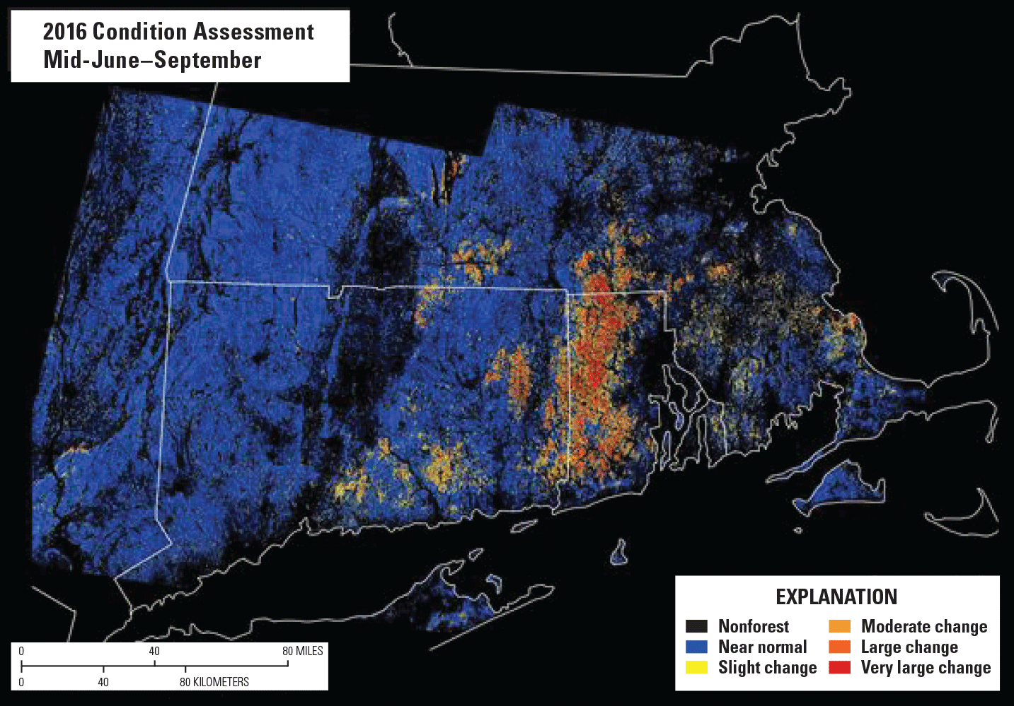 Image showing a dense area affected by a spongy moth outbreak in New England.