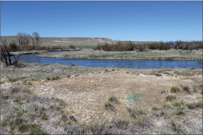 Photograph of section of river with grass and trees. There is a patch of grass missing
                     and only dirt remains.