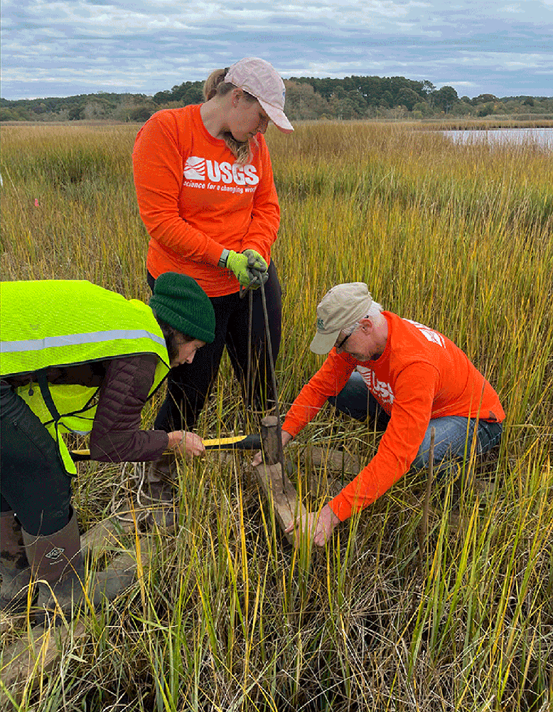 Photo of three scientists in a marsh.