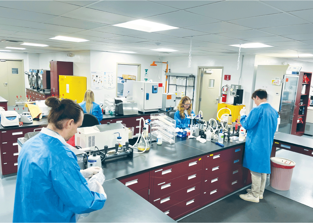 Four technicians in lab coats work on different tasks in the laboratory