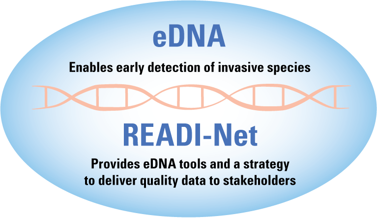 Environmental DNA enables early detection of invasive species, and READI-Net provides
                     eDNA tools and a strategy to deliver quality data to stakeholders.