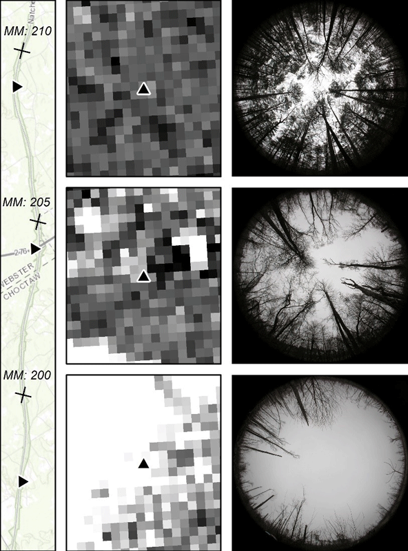 Three hemispheric photographs looking vertically upward show tree canopy that is dense
                     near mile 209, fairly dense near mile 204, and sparse near mile 197, all along the
                     Natchez Trace Parkway. In the lidar-derived density point-cloud image next to each
                     photograph, the quantity and darkness of pixels corresponds to the density of the
                     tree canopy.