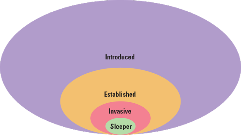 Ovals of different radii labeled from smallest to largest