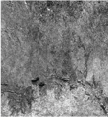 Alttext 3. Greyscale Landsat image displaying Sensor Chip Assembly separation.