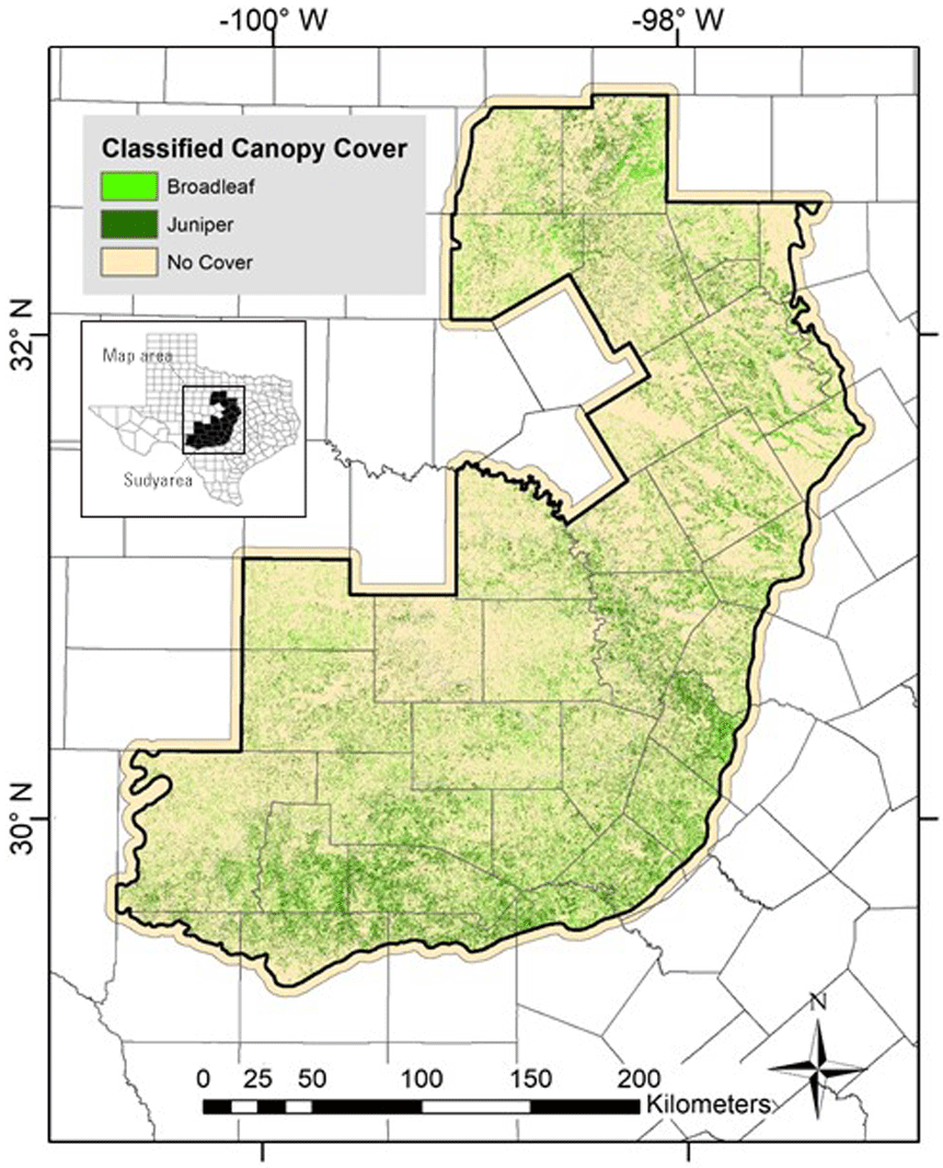 The inset map shows the study area location in central Texas. The zoomed-in map of
                     the study area shows that the presence of broadleaf and juniper trees ranges from
                     sparse to moderately abundant.