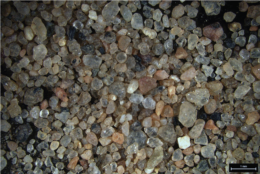 Mineral grains of near equivalent size but numerous colors and degrees of opacity.
                        A 1 millimeter scale is shown.