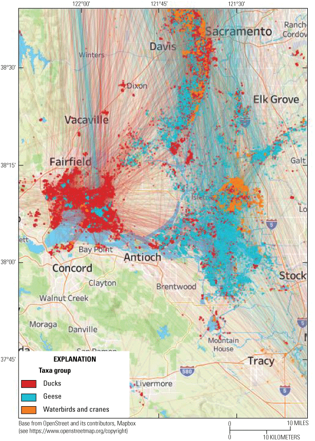 6. There is ample movement of waterfowl within and beyond the Bay-Delta region.