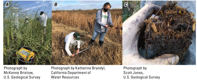 8. Researchers are deploying an instrument and extracting a soil core to measure the
                     carbon stored in rich wetland soils.