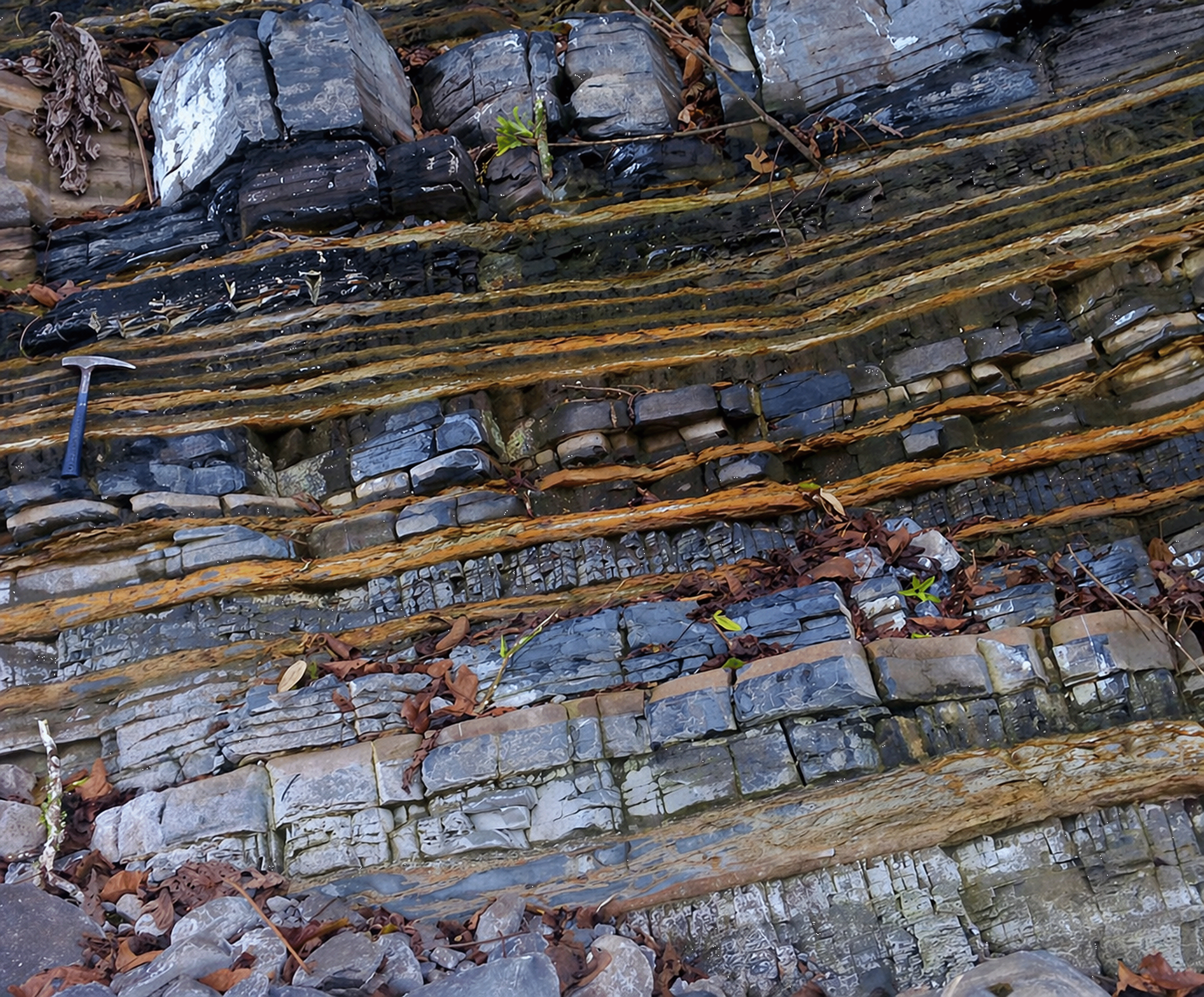 Outcrop with alternating layers of limestone, bentonite, and organic-rich shale.