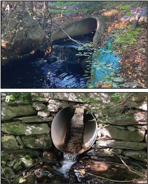 Photographs are focused on where water flows out of the culverts. Water visibly drops
                     from the culverts to the streams, and the water depth is very shallow, impeding aquatic
                     organism passage.