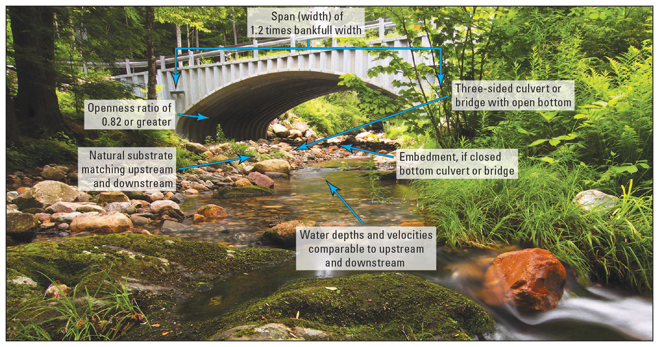 Photograph of an open-bottom culvert that meets Massachusetts stream crossing standards
                     for span, openness ratio, embedment, substrate, and water depth and velocity.