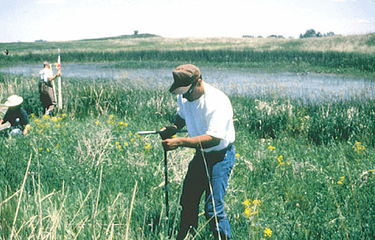 Scientist collecting data on a restored prairie wetland/